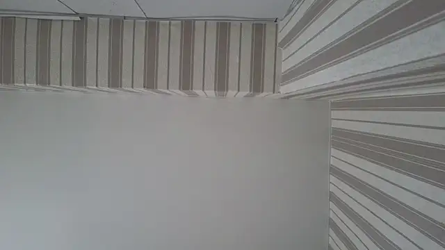 lily  foster online show from 22, 9, 2025