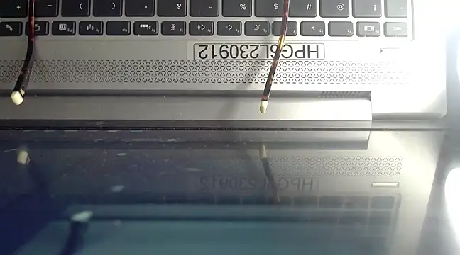 Berry wet xxx online show from 15, 1, 2025