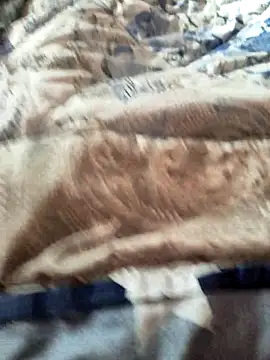 Ouram 81 online show from 5, 12, 2025