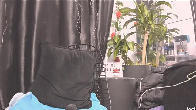 Snapshot of MYFAVOURITESTRAGER chatting on 22, 12, 2024 MYFAVOURITESTRAGER online show from 22, 12, 2024