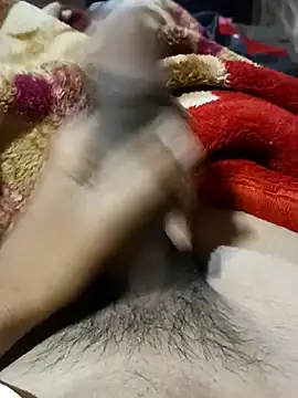 Play boy11 online show from 16, 11, 2025