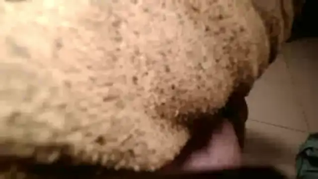 Snapshot of Dan3106x chatting on 19, 3, 2026 Dan3106x online show from 19, 3, 2026