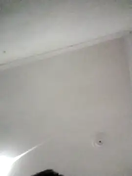 kevin613603 online show from 11, 2, 2026