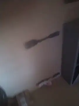 macnificent1fr online show from 11, 1, 2026