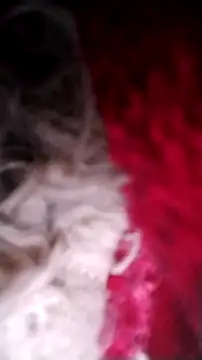 Bigcockmexi13 online show from 12, 10, 2025