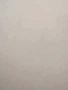 Snapshot of Shuttii_25 chatting on 25, 12, 2024 Shuttii 25 online show from 25, 12, 2024