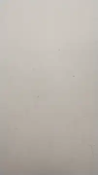 Snapshot of Shuttii_25 chatting on 25, 1, 2025 Shuttii 25 online show from 25, 1, 2025