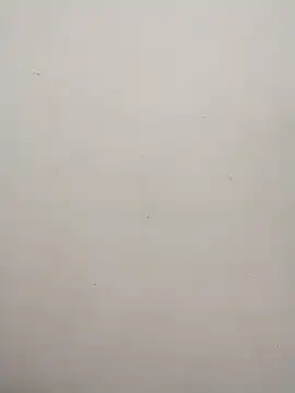 Snapshot of Shuttii_25 chatting on 31, 1, 2025 Shuttii 25 online show from 31, 1, 2025