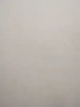 Snapshot of Shuttii_25 chatting on 10, 2, 2025 Shuttii 25 online show from 10, 2, 2025