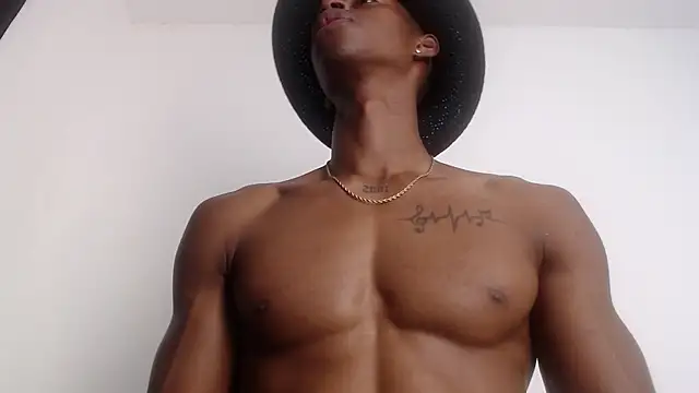 drake brwon 23 online show from 11, 2, 2026