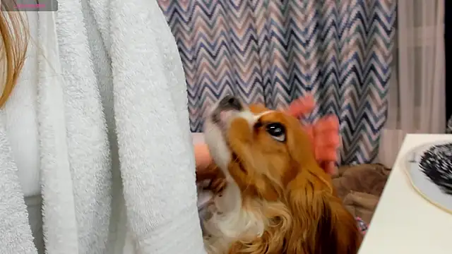 Snapshot of Peggy_Beauty chatting on 15, 1, 2025 Peggy Beauty online show from 15, 1, 2025