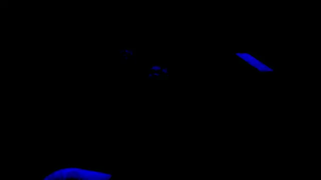 Snapshot of nzanizy chatting on 31, 1, 2025 nzanizy online show from 31, 1, 2025