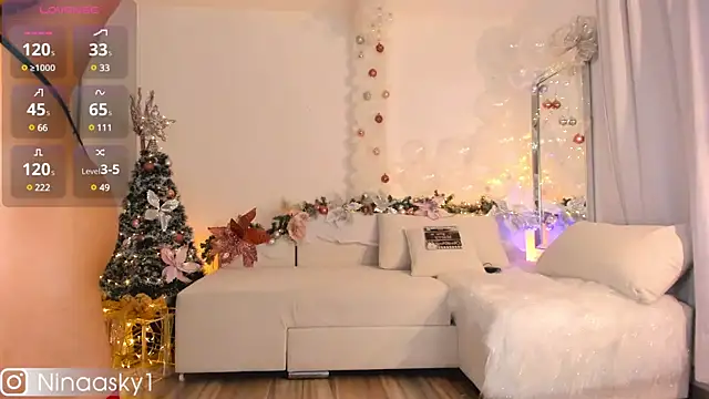 Snapshot of ninaa_sky chatting on 30, 12, 2024 ninaa sky online show from 30, 12, 2024