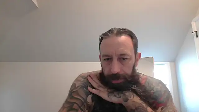 StevenRiseNYC online show from 20, 5, 2026