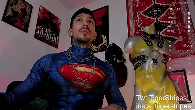 TigerStripes1  online show from 21, 3, 2026