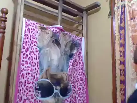 sweetbabra1 online show from 11, 2, 2025