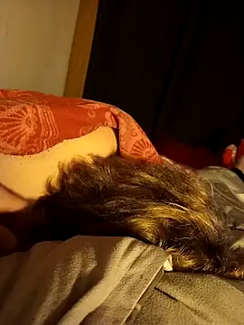 Snapshot of PIercingBoy38 chatting on 26, 11, 2025 PIercingBoy38 online show from 26, 11, 2025