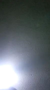 Elcogetuquieres online show from 8, 1, 2025