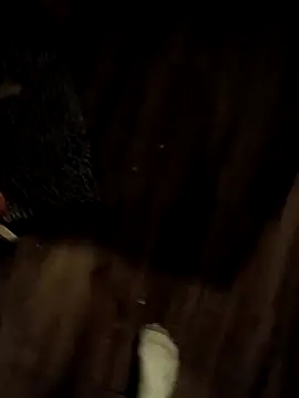 Snapshot of Donglong80 chatting on 17, 11, 2025 Donglong80 online show from 17, 11, 2025