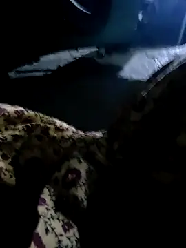 Kolkata   Boy online show from 2, 3, 2025